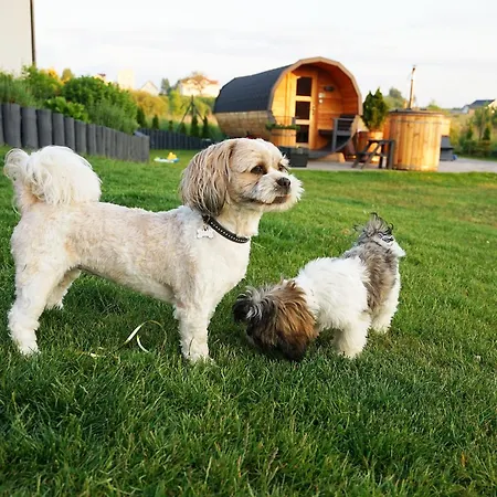 דירה Resort Mielenko