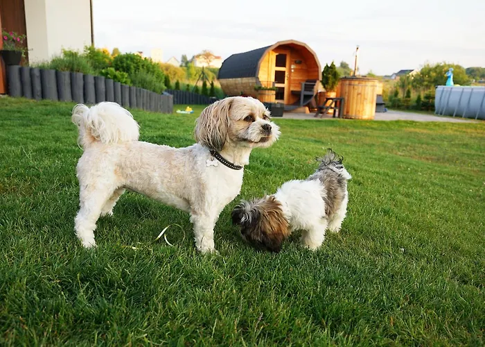 Apartmán Resort Mielenko